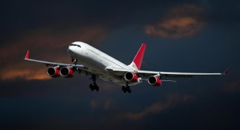 Allarme aviaria: donne incinte a rischio, solo 1 su 10 sopravvive al virus!