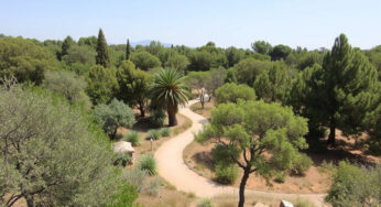 Un progetto eco-sostenibile in Europa: da Firenze a Valencia con il bosco mediterraneo